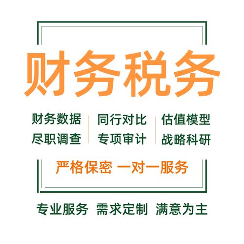 財務報表分析可行性研究報告審計稅務咨詢代寫商業(yè)計劃書年度述職